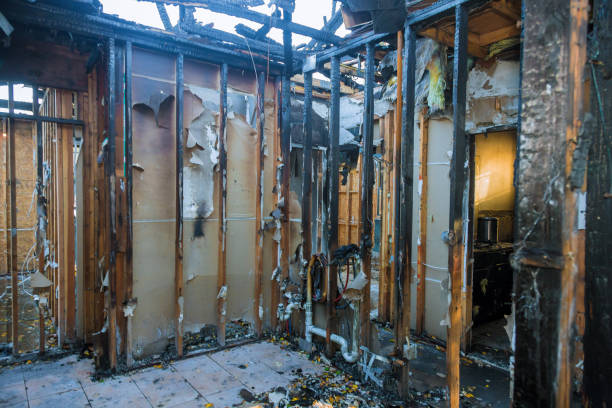 Professional Fire Damage Removal technician working in Howard, WI